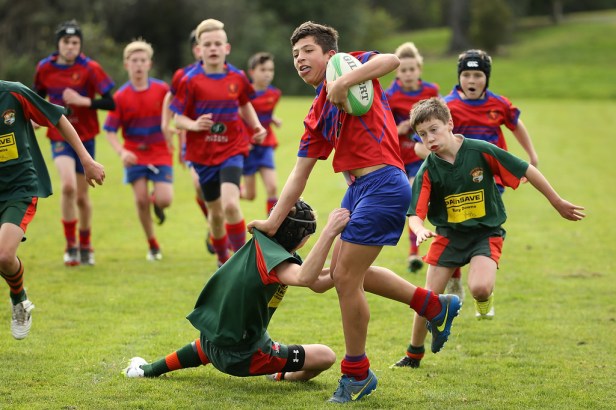Auckland+Junior+Rugby+hWpl0FwaKcdx