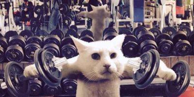 Rugby Klub Bratislava gym