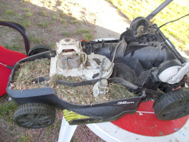 údržba, kosenie trávy